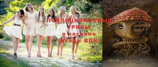 тгк Зерноград