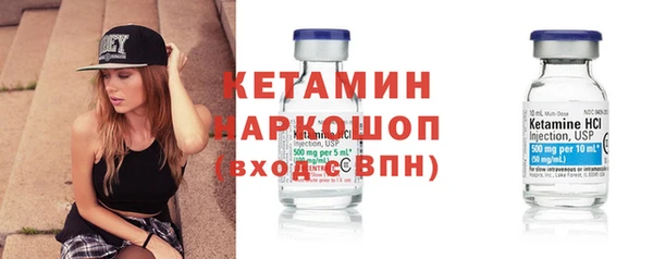 прущие грибы Елабуга