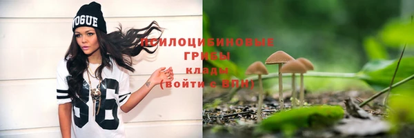 тгк Зерноград