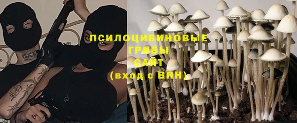 первитин Инта