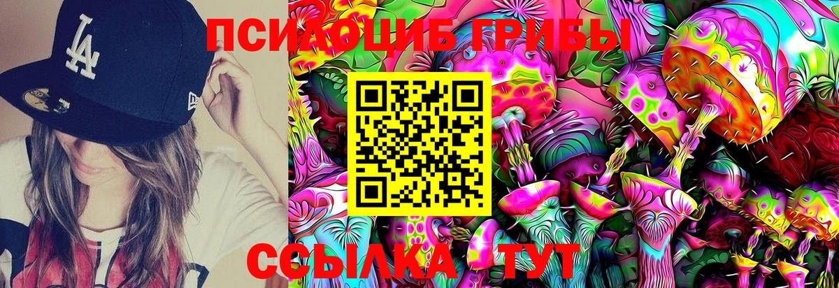 Галлюциногенные грибы GOLDEN TEACHER Сланцы