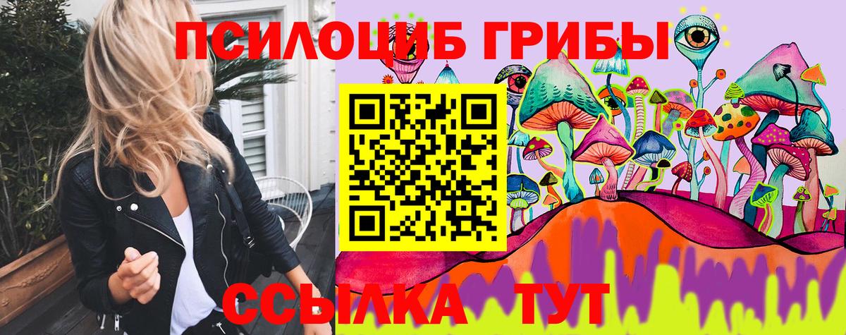 Сланцы  Галлюциногенные грибы Psilocybe  Галлюциногенные грибы мицелий  Вход с VPN 